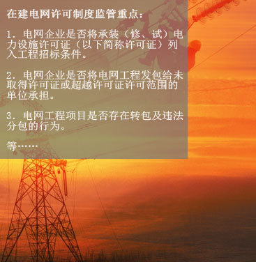 八、在建電網工程項目許可制度執行情況