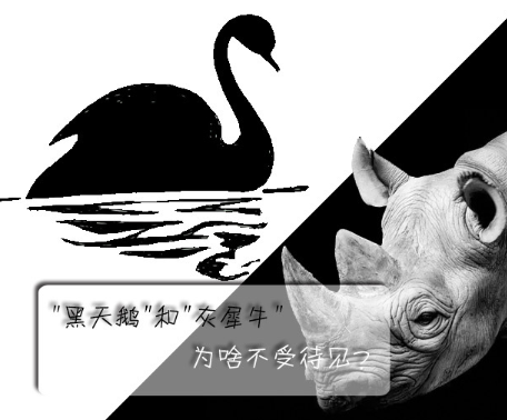 "黑天鵝"和"灰犀牛"為啥不受待見？