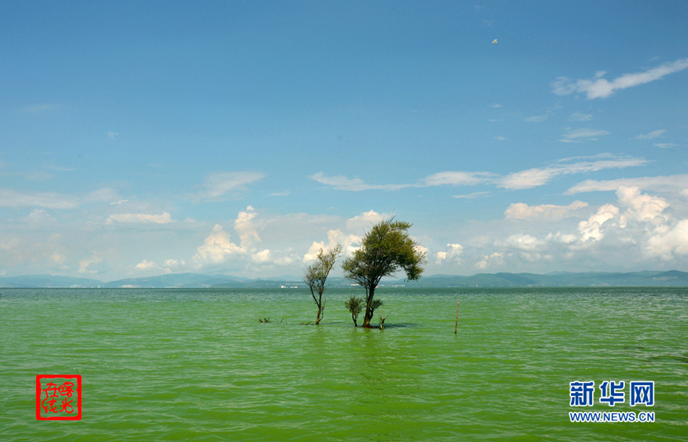 陽光昆明，爽爽的春城