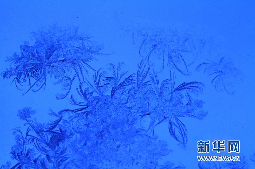 忽如一夜寒冬來，千家萬戶窗花開