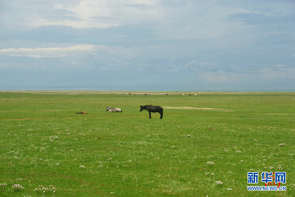 高原放歌之那山、那寺、那朵云