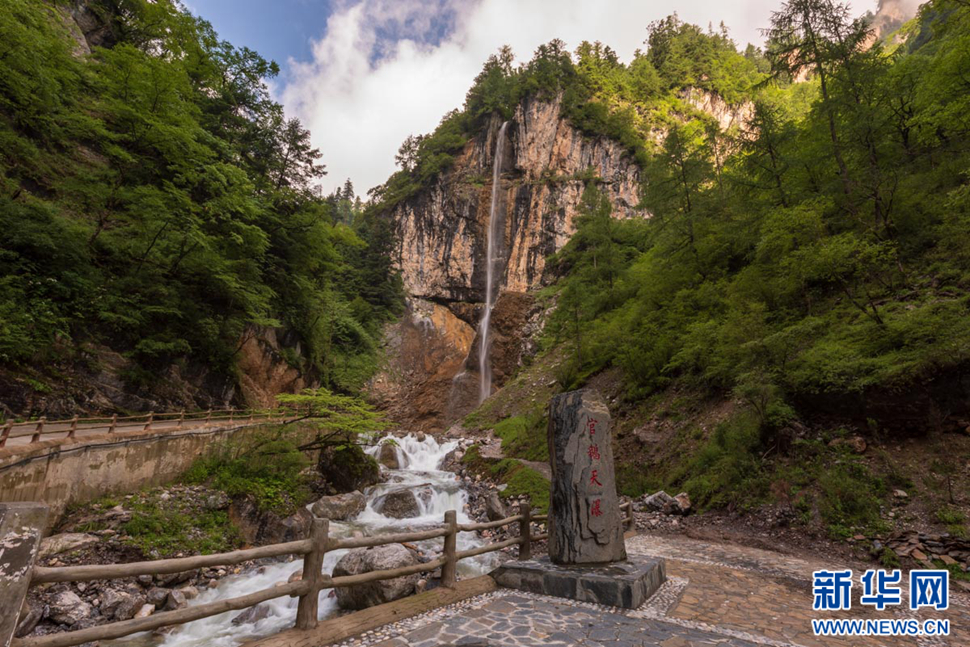 重崖森迥瀑飛先，鵝溝炎夏水風涼