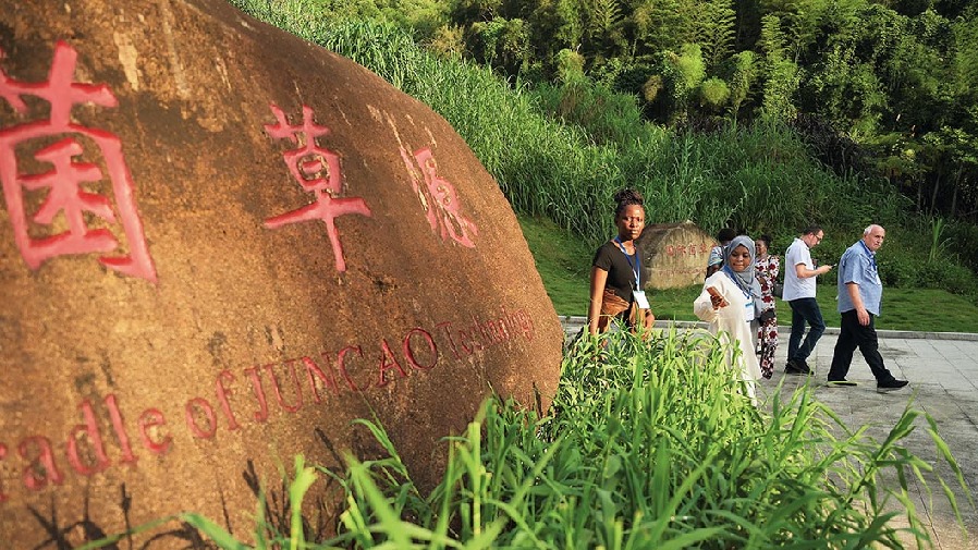 他，讓肯尼亞愛上中國“神奇草”