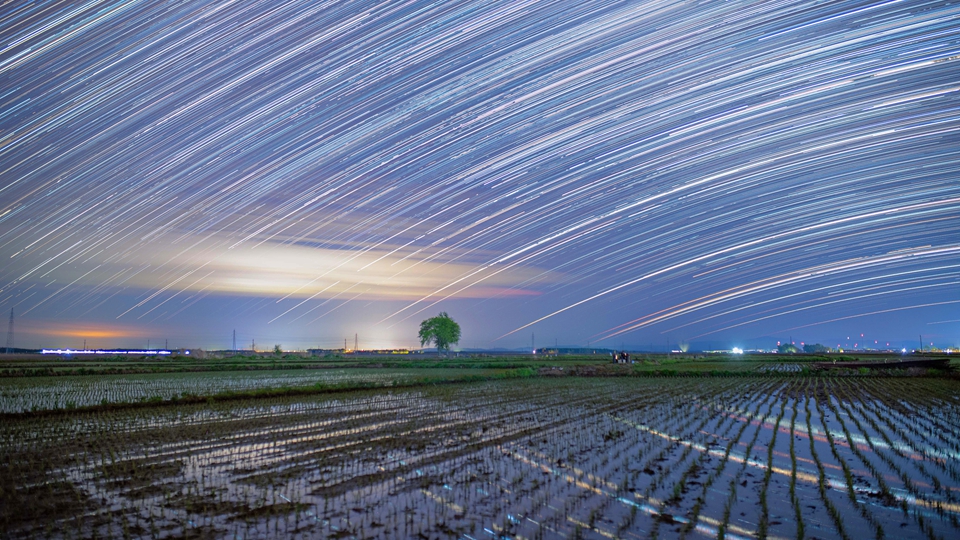 星空相冊丨“星禾”有約，初夏“黑土糧倉”鋪展稻田星光畫卷