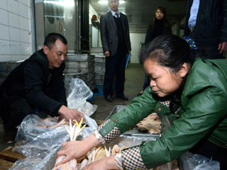 江西宰殺、冷凍積壓禽肉 緩解H7N9禽流感影響
