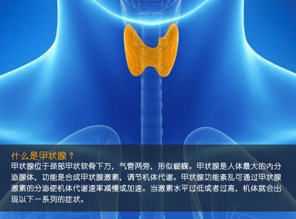 關注甲狀腺健康，你應該知道的那些事