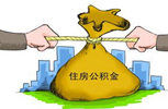 耿杰中剖析住房公積金：完善機制謹防南橘北枳