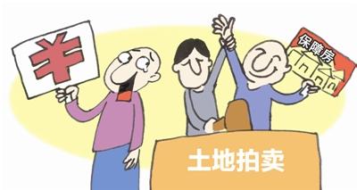 懋源地產以39億配建9.6萬平保障房的代價奪孫河地塊