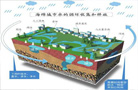建海綿城市 16個城市開展海綿城市建設試點