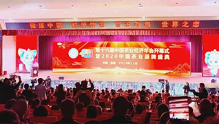 云南雙江自治縣入選2020中國 “茶業百強縣”“茶葉品牌十強縣”