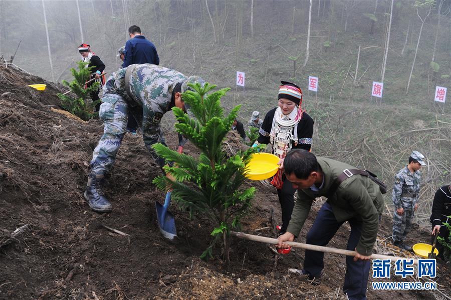 （圖文互動）（6）和平年代，離死神最近的人——南部戰區陸軍云南掃雷大隊邊境掃雷排爆記事