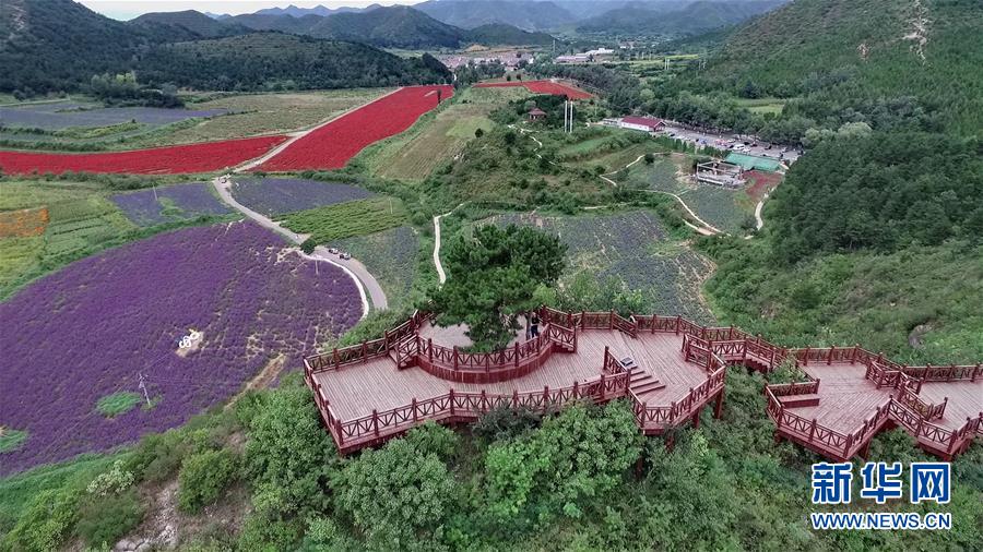 （十九大·讀報告 話民生）（10）加快生態文明體制改革，建設美麗中國