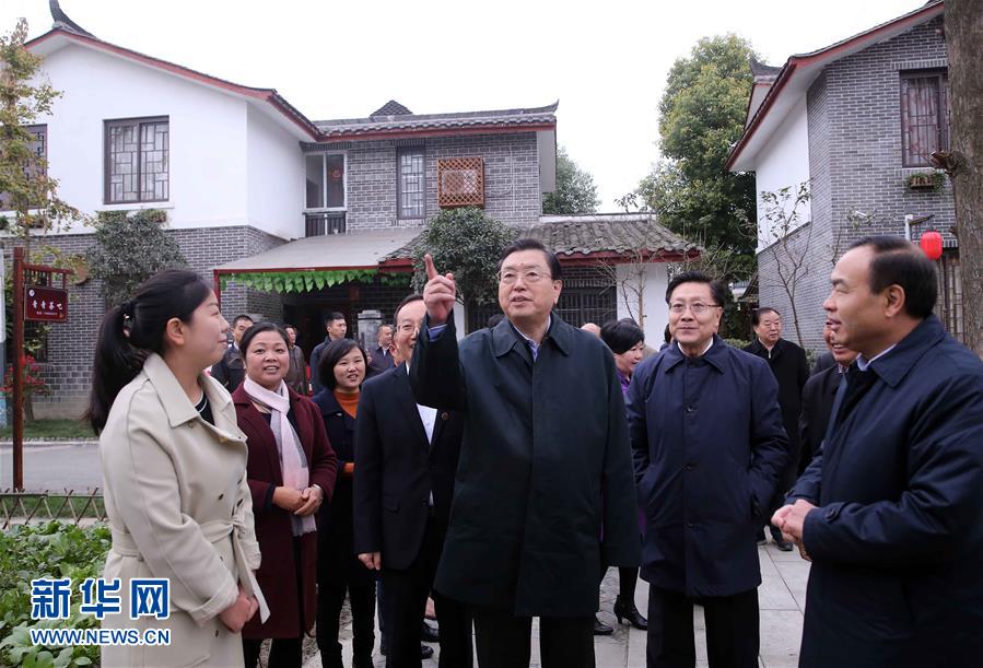 這是11月22日，張德江來到成都郫縣青杠樹村，了解村民委員會工作情況。 新華社記者 劉衛兵 攝 