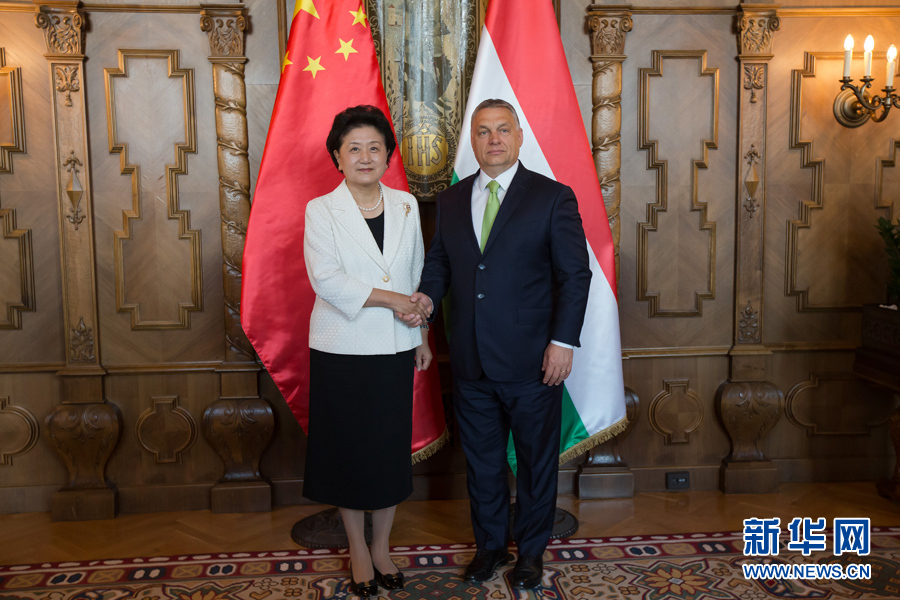  6月21日，國務院副總理劉延東（左）在匈牙利布達佩斯國會大廈會見匈牙利總理歐爾班。 新華社發（弗爾季·奧蒂洛攝）