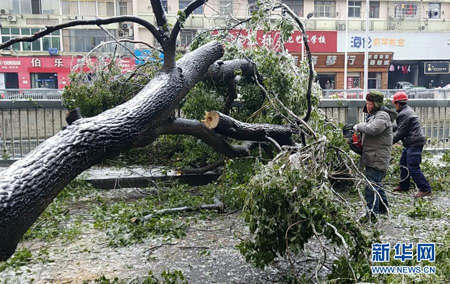 （新華全媒頭條）（7）雨雪冰凍中，他們奮力前行——基層黨員干群抗擊冰雪災害紀實