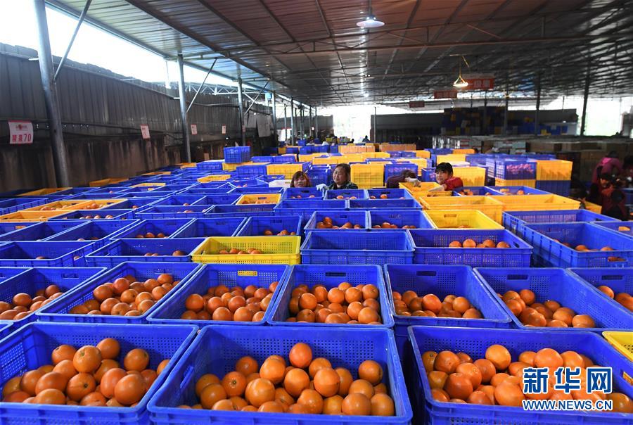 （新華全媒頭條·習近平新時代中國特色社會主義思想在基層·改革發展新氣象·圖文互動）（5）改革創新潮涌動 激活發展新引擎