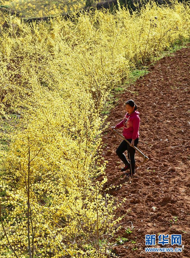 （新華全媒頭條·習近平新時代中國特色社會主義思想在基層·改革發展新氣象·圖文互動）（6）改革創新潮涌動 激活發展新引擎
