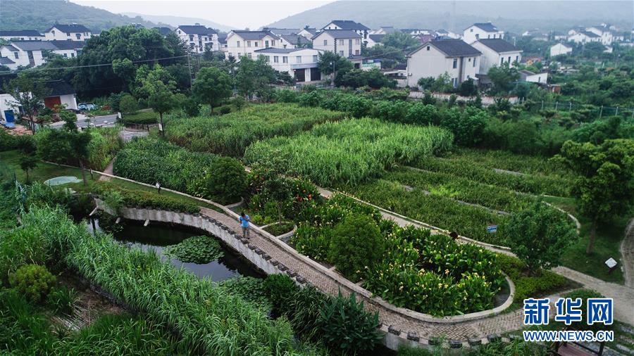 （在習近平新時代中國特色社會主義思想指引下——新時代新作為新篇章·圖文互動）（1）稀奇！治污濕地成了休閑公園——江蘇蘇州全域推進農村生活污水治理