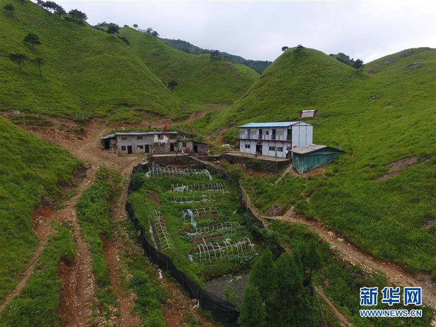 （新華全媒頭條·圖文互動）（3）一個人，一座山——劉真茂的生命守望