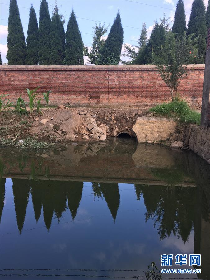 （新華視點·圖文互動）（3）上游洪水來襲下游魚蟹死亡，泄洪為何變泄污？