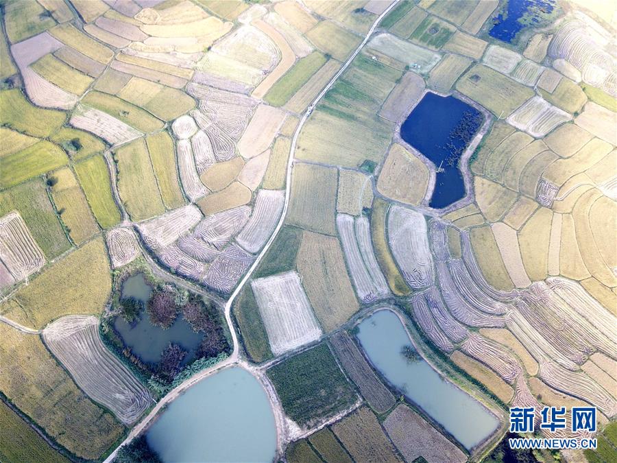 （新華全媒頭條·壯闊東方潮　奮進新時代——慶祝改革開放40年·圖文互動）（2）小崗，與時代同行——“中國農村改革第一村”40年變遷的改革啟示
