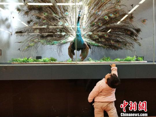 圖為展覽現場?！『h航 攝