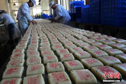 資料圖：師傅們在把制作好的桂花糖年糕擺放整齊。王思哲 攝