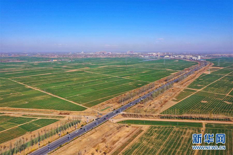 （新華全媒頭條·圖文互動）（2）奮進，向著未來之城！——河北雄安新區建設發展兩周年紀實