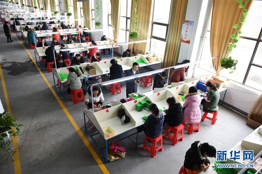 （在習近平新時代中國特色社會主義思想指引下——新時代新作為新篇章·圖文互動）（5）“搬遷到哪里，服務就延伸到哪里”——貴州推進易地扶貧搬遷“后半篇文章” 