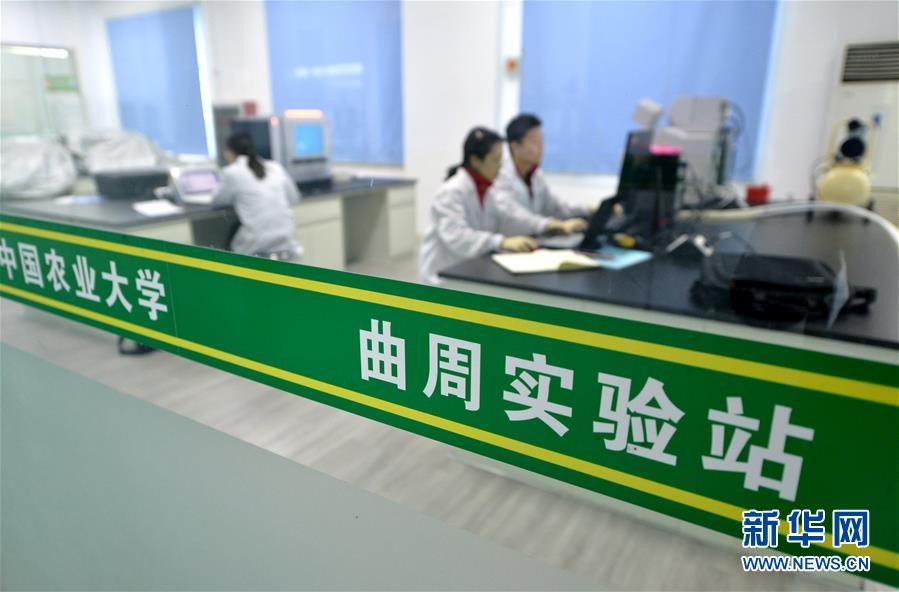 （愛國情 奮斗者·圖文互動）（3） “解民生之多艱，育天下之英才”——中國農大師生扎根田野書寫奉獻之歌