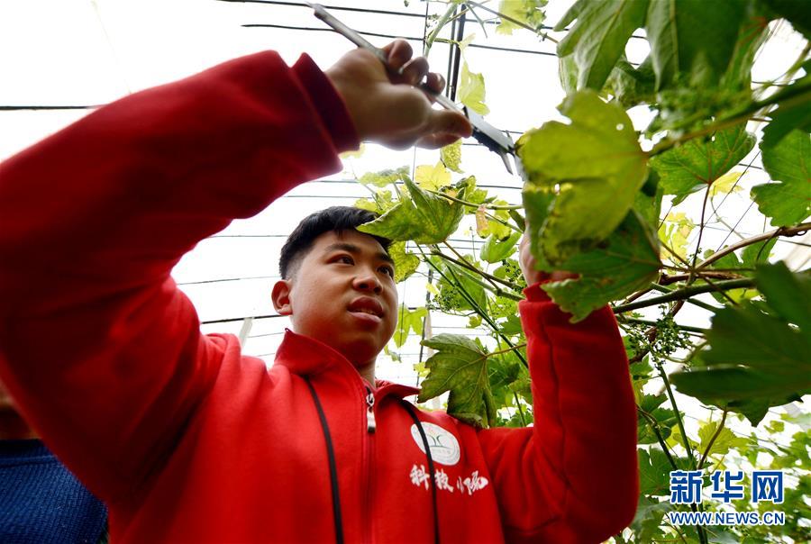 （愛國情 奮斗者·圖文互動）（8） “解民生之多艱，育天下之英才”——中國農大師生扎根田野書寫奉獻之歌