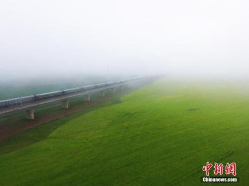 資料圖：動車組穿越雨霧中的油菜花海宛若穿越時空。 楊艷敏 攝
