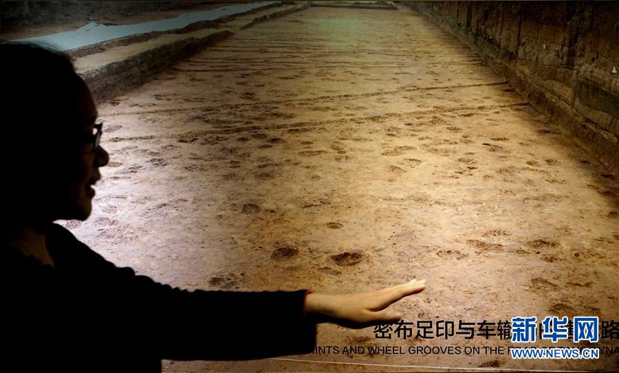（新華全媒頭條·圖文互動）（6）“若問古今興廢事，請君只看洛陽城”——千年古都“烹制”博物館盛宴