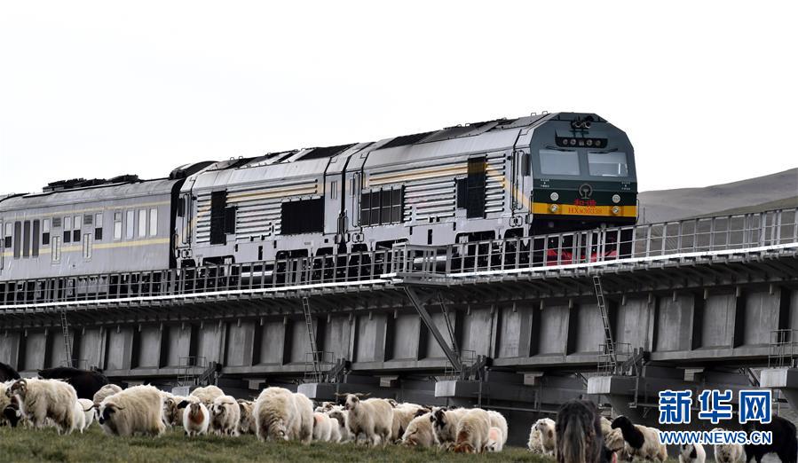 （新華全媒頭條&middot;壯麗70年&middot;奮斗新時代&middot;圖文互動）（12）開拓雪域高原的夢想之路&mdash;&mdash;來自青藏鐵路的蹲點報告