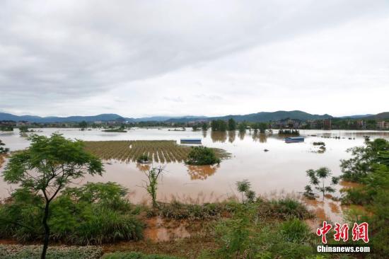 資料圖：湖南省臨武縣武水鎮、南強鎮、汾市鎮、水東鎮、金江鎮等鄉鎮遭遇特大暴雨襲擊，導致大量民房和農田被淹。據不完全統計，該縣數千戶民房被淹，數十萬畝農田、果園、煙田被淹斷收，直接經濟損失達數千萬元。災情發生后，當地政府及相關部門第一時間奔赴受災鄉鎮轉移群眾，察看災情并積極組織村民排澇自救、發放救災物資、開展保險理賠等工作。目前救災工作正在有序進行，無人員傷亡。唐盛歡 攝