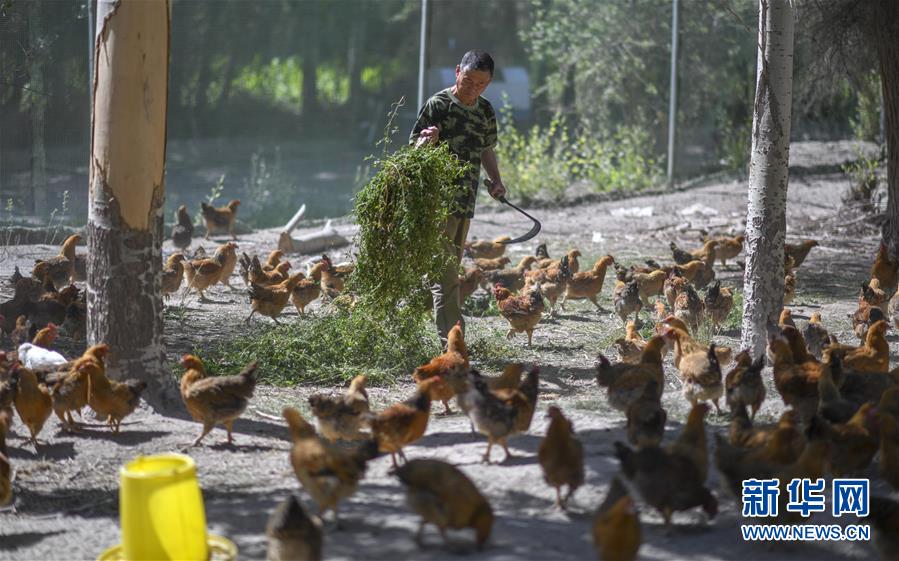 （新華全媒頭條·圖文互動）（6）同心援疆，“壯闊”祖國西北角