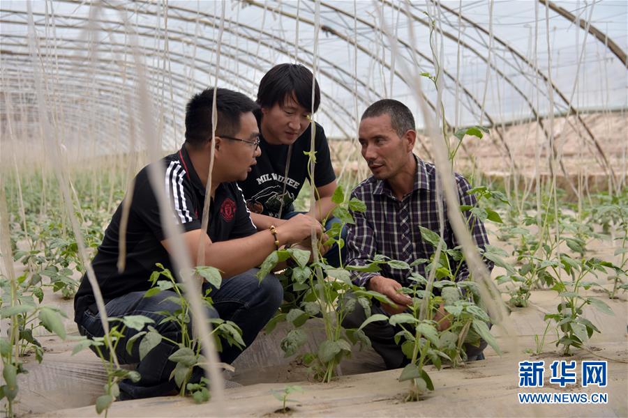 （新華全媒頭條·圖文互動）（10）同心援疆，“壯闊”祖國西北角