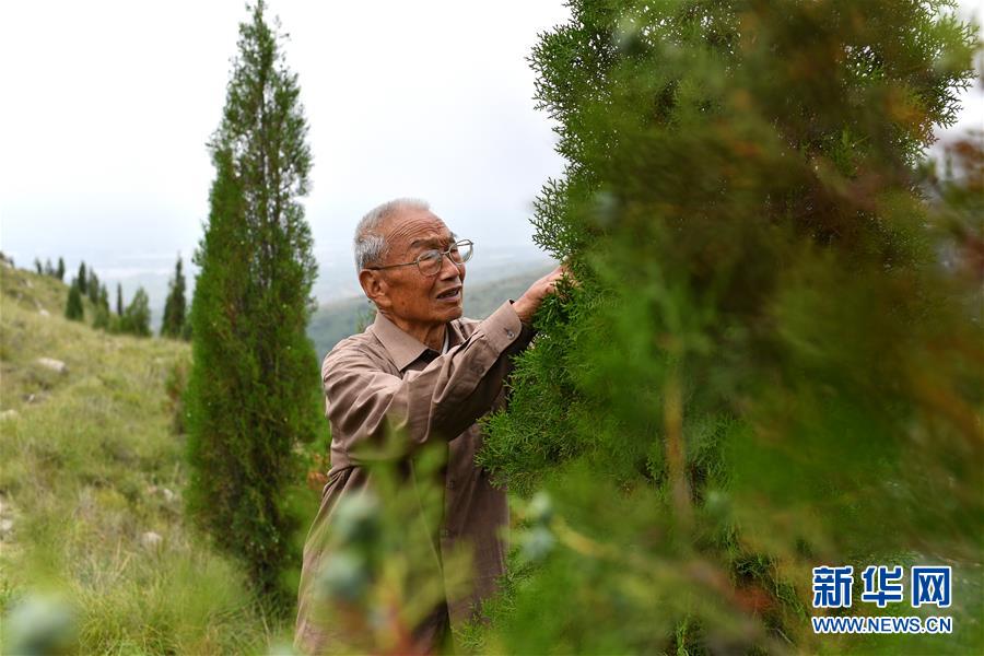 （在習近平新時代中國特色社會主義思想指引下——新時代新作為新篇章·圖文互動）（5）中條山下綠意濃——一個“資源窮縣”的生態發展之路