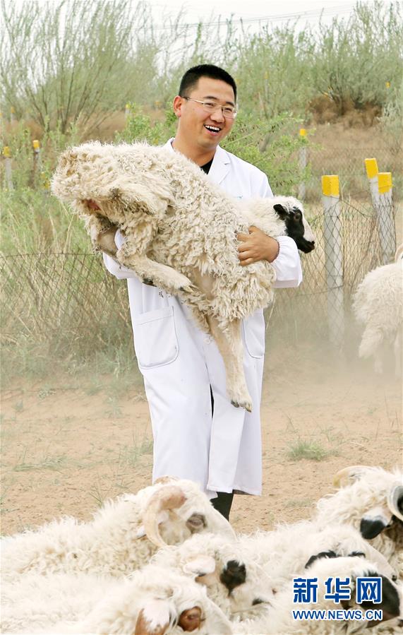 （壯麗70年&middot;奮斗新時代&mdash;&mdash;共和國發展成就巡禮&middot;圖文互動）（3）生態美、百姓富&mdash;&mdash;品讀嶄新&ldquo;寧夏畫卷&rdquo;