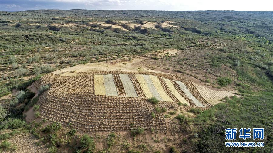 （壯麗70年&middot;奮斗新時代&mdash;&mdash;共和國發展成就巡禮&middot;圖文互動）（6）生態美、百姓富&mdash;&mdash;品讀嶄新&ldquo;寧夏畫卷&rdquo;