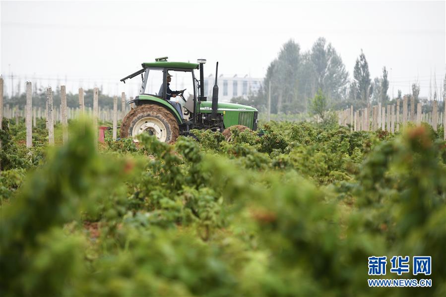 （壯麗70年&middot;奮斗新時代&mdash;&mdash;共和國發展成就巡禮&middot;圖文互動）（10）生態美、百姓富&mdash;&mdash;品讀嶄新&ldquo;寧夏畫卷&rdquo;