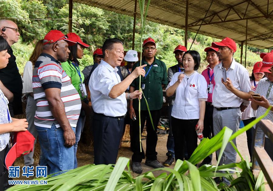 （不忘初心、牢記使命·圖文互動）（5）拳拳寸草心 濃濃報國情——記“菌草之父”林占熺