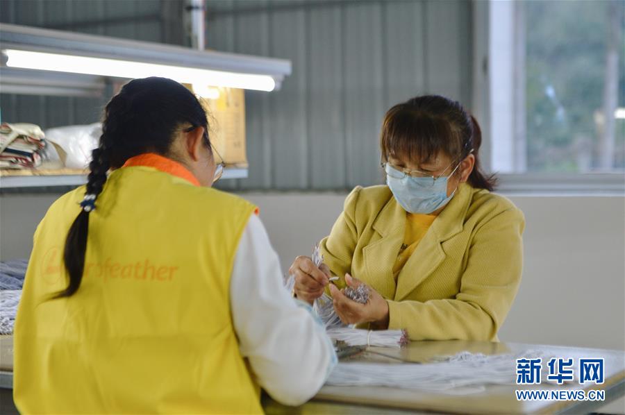 （圖文互動）（2）人回鄉、錢回流、企回遷——一個大石山區貧困縣的返鄉創業故事 