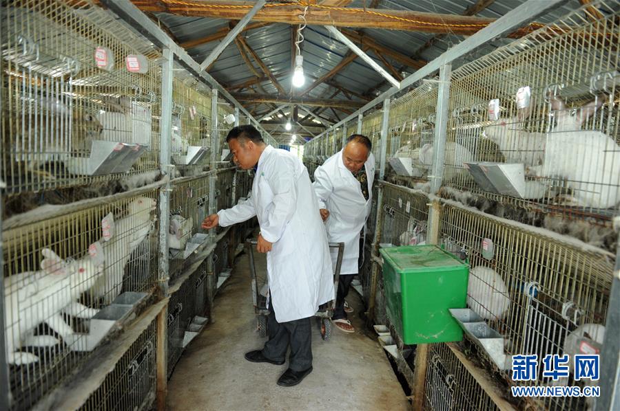 （新華全媒頭條·圖文互動）（4）干部去哪兒了？——貴州干部大規模下沉脫貧攻堅一線紀實