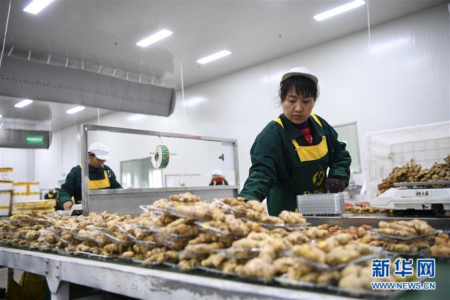 （在習近平新時代中國特色社會主義思想指引下——新時代新作為新篇章·總書記關切高質量發展·圖文互動）（3）穩住“一頭豬”、供好“一袋米”、配好“一籃菜