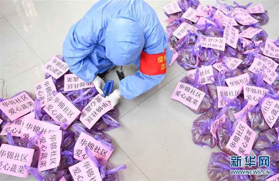 （習近平致敬的戰“疫”英雄·志愿者篇·圖文互動）（11）他們，微光成炬照征程