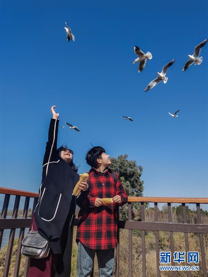 （一線抗疫群英譜·圖文互動）（1）大學生志愿者譚藝西：在武漢，我和媽媽共戰“疫”