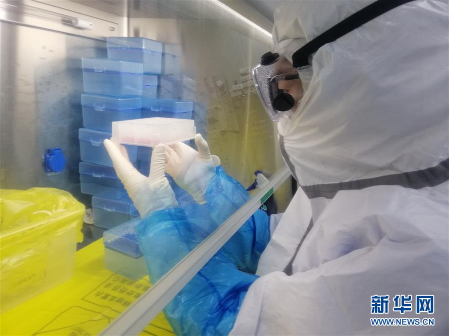 （一線抗疫群英譜·圖文互動）（2）“95后”大學生郝鶯歌：退掉車票，她選擇直面病毒