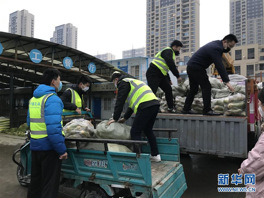 （一線抗疫群英譜·圖文互動）（2）“面對疫情，我們能做點啥？”——“蘿卜哥”朱海洋的擔當