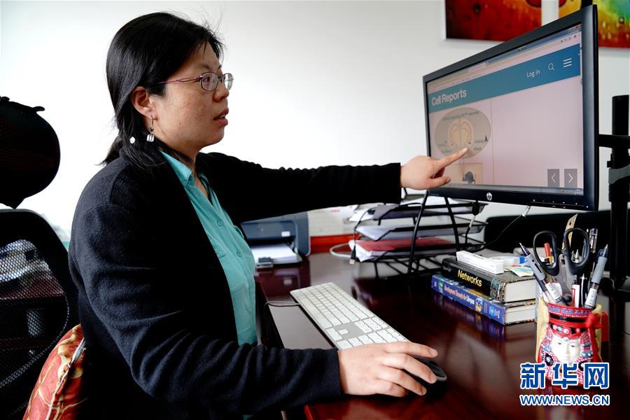 （圖文互動）（1）攻擊行為如何被大腦控制？科學家在小鼠大腦中發現“調節開關”